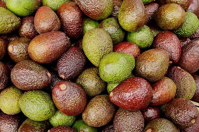 Quels sont les autres bienfaits de l’avocat Quels sont les autres bienfaits de l’avocat